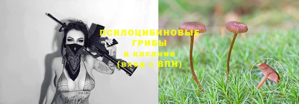 ешки Алексин