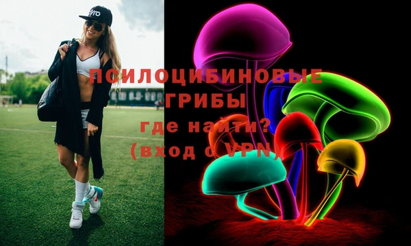 ешки Алексин