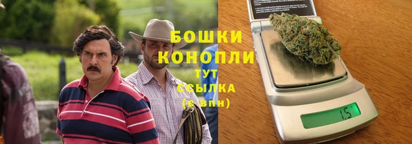 ешки Алексин